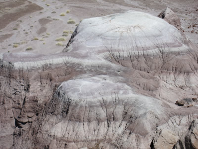 painted desert